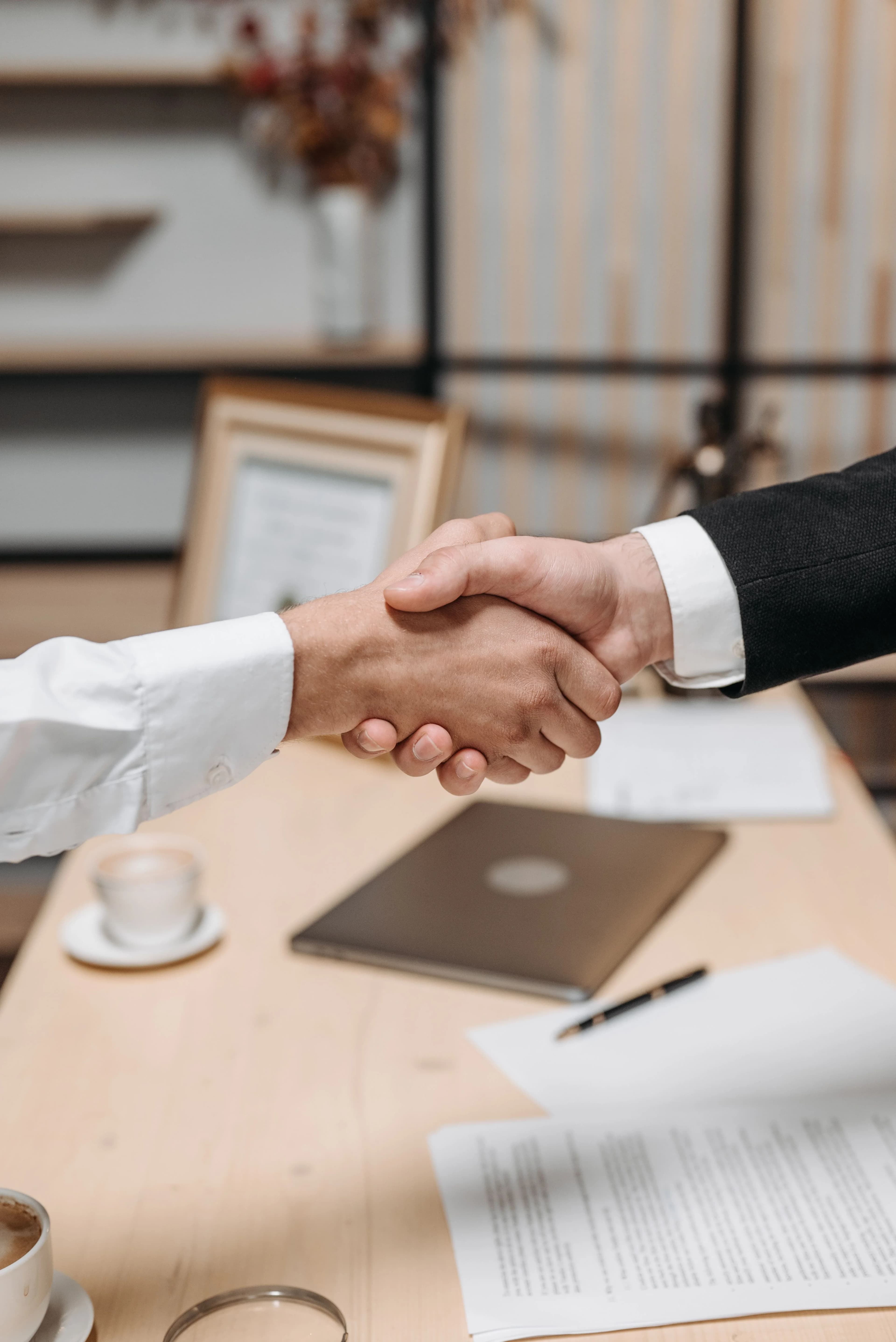Professionals shaking hands